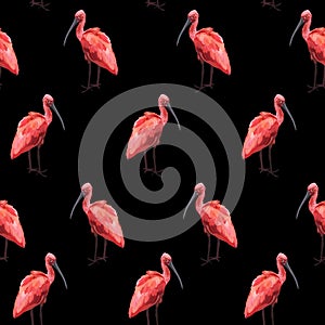 Pink flamingo, Ibis bird, black background. Floral seamless pattern. Tropical illustration.