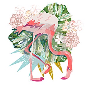 Pink flamingo illustration isolated on white background.
