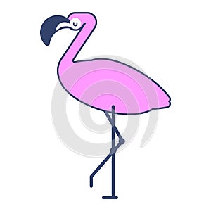 Pink flamingo isolated. Bird with long legs. Vector illustration