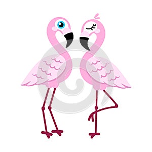 Pink flamingo isolated on white background.