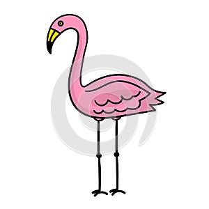 Pink flamingo isolated on white background. Tropical bird.