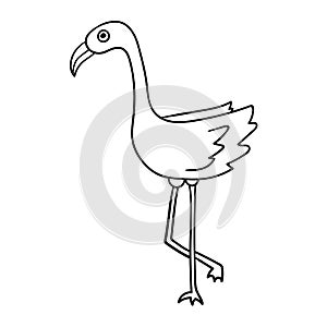 Pink flamingo isolated on white background. Tropical bird standing