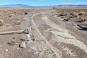 A pink flamingo lawn ornament in the desert