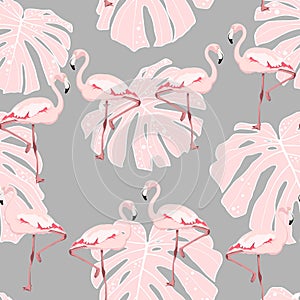 Pink flamingo, monstera leaves, grey background. Floral seamless pattern.
