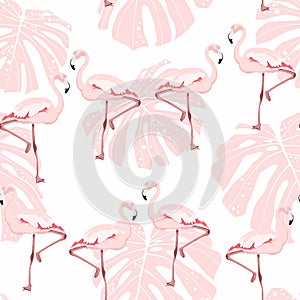 Pink flamingo, monstera leaves, white background. Floral seamless pattern. Tropical illustration.