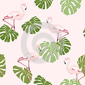 Pink flamingo, monstera leavess, light pink background. Floral seamless pattern. Tropical illustration.