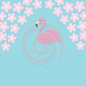 Pink flamingo on one leg. Exotic tropical bird. Zoo animal collection