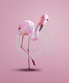 Pink flamingo pose, with naive innocent asking look