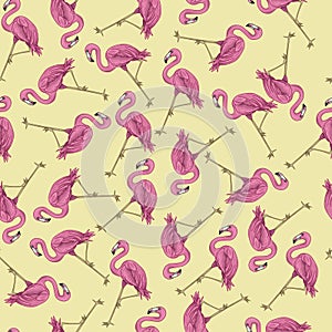 Pink flamingo seamless pattern .