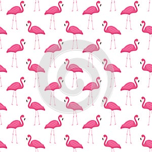 Pink flamingo seamless pattern. Summer tropical endless background, repeating texture. Vector illustration.