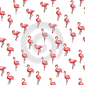 Pink flamingo seamless pattern on white background