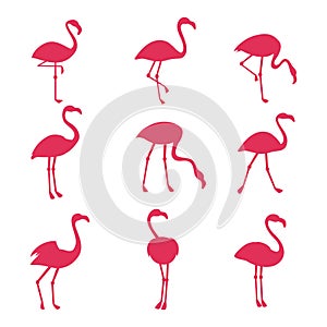 Pink flamingo silhouetes isolated on white background