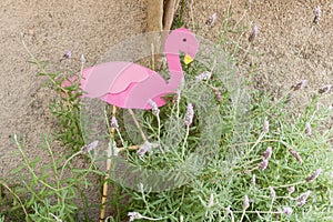 Pink flamingo sitting in a plant of lavander on \