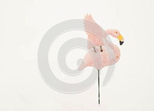 Pink flamingo in snow