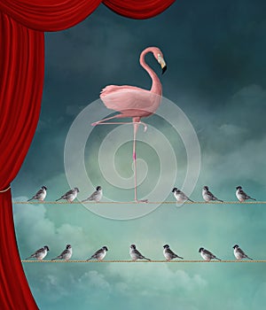 Pink flamingo and sparrow on a rope