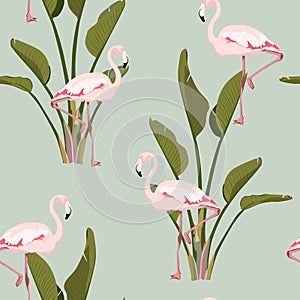 Pink flamingo, strelitzia leaves plant, vintage background. Floral seamless pattern. Tropical illustration.