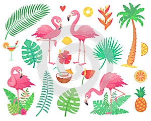 Pink flamingo and tropical plants. Beach palm, african plant leafs, rainforest flower, tropic palms leaf and rosy