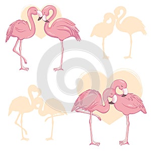 Pink flamingo vector cartoon flat set. Exotic tropical bird icons collection isolated on white background.