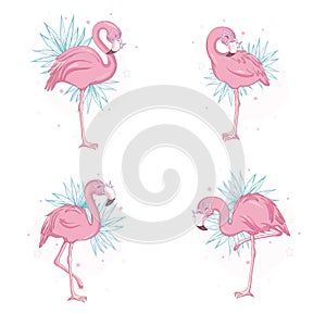 Pink flamingo vector cartoon flat set. Exotic tropical bird icons collection isolated on white background.