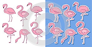 Pink flamingo vector cartoon flat set. Exotic tropical bird icons collection. Colorful and Sticker version