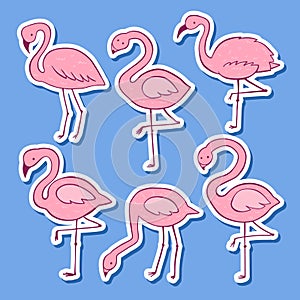 Pink flamingo vector cartoon flat set. Exotic tropical bird icons collection. Sticker version