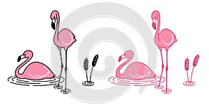 Pink flamingo vector cartoon icon character logo flamingos illustration exotic bird Cute animal tropical fauna