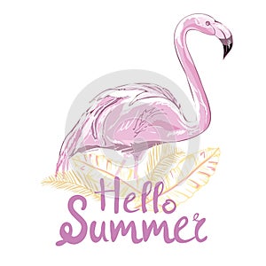 Pink flamingo vector illustration