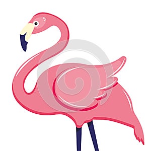 Pink flamingo vector illustration. Cute and beautiful flat pink flamingo on white background