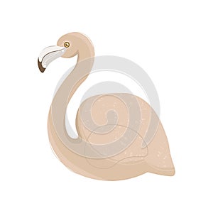 Pink flamingo vector illustration isolated on white background