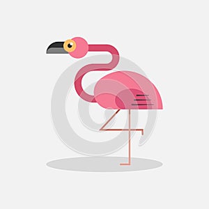 Pink Flamingo vector illustration, isolated on white background