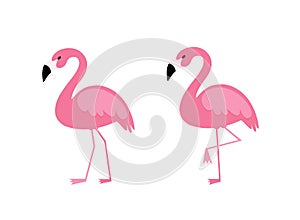Pink flamingo vector illustration isolated on white background