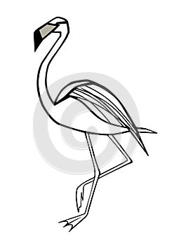 Pink flamingo vector illustration isolated on white background. Black and white