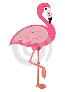 Pink flamingo vector illustration isolated on white background. Flamingo Clipart