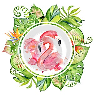 Pink flamingo watercolor hand drawn illustration in arrangement with green tropical plants, exotic monstera and banana leafs