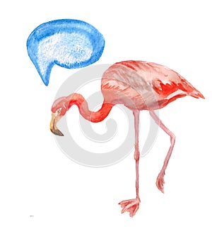 Pink flamingo