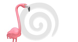 Pink flamingo on white background