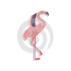 Pink flamingo with wide open wings standing on one leg, side view. Beautiful topical bird. Hand drawn vector design