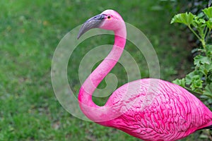 Pink flamingo yard statue close-up