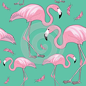 Pink flamingos with black beaks with pink feathers around them. Seamless pattern. Vector illustration on turquoise background