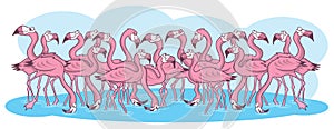 Pink flamingos cartoon illustration