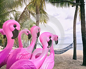 Pink flamingos on the tropical beach.