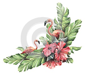 Pink flamingos in tropical leaves with red hibiscus flowers. Watercolor illustration. Composition of a large set of CUBA