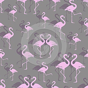 Pink flamingos. Zoo bird park.