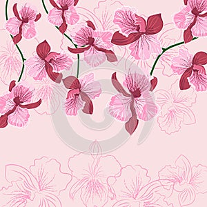 Pink floral background with orhid Pink floral bac