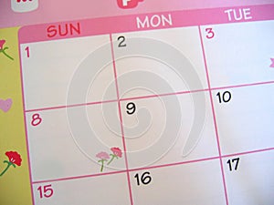 Rosa calendario 