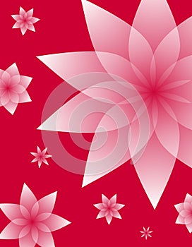 Pink Floral Designs on Red Background
