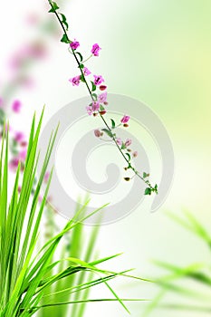 Pink floral and fresh grass