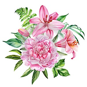 Pink floral set. Peony, leaves and lily flower isolated white background. Hand drawn watercolor botanical illustration