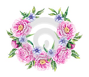 Pink floral wreath with blue flowers of the medicinal plant chicory