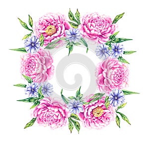 Pink floral wreath with blue flowers of the medicinal plant chicory